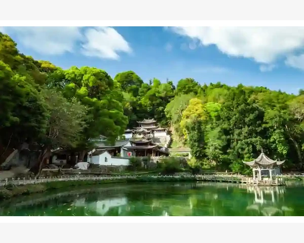 暖心美食，舌尖上的幸福——驱寒面条