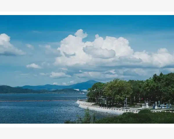 润喉护嗓 清肺饮料，助你呼吸畅通，声音悦耳
